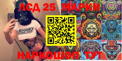 шишки Ставрополь