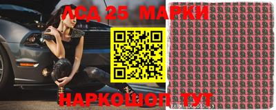 шишки Ставрополь