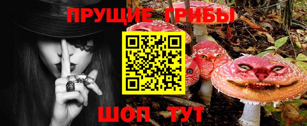 Галлюциногенные грибы Magic Shrooms  Вход с VPN  Нижнекамск  Галлюциногенные грибы GOLDEN TEACHER 