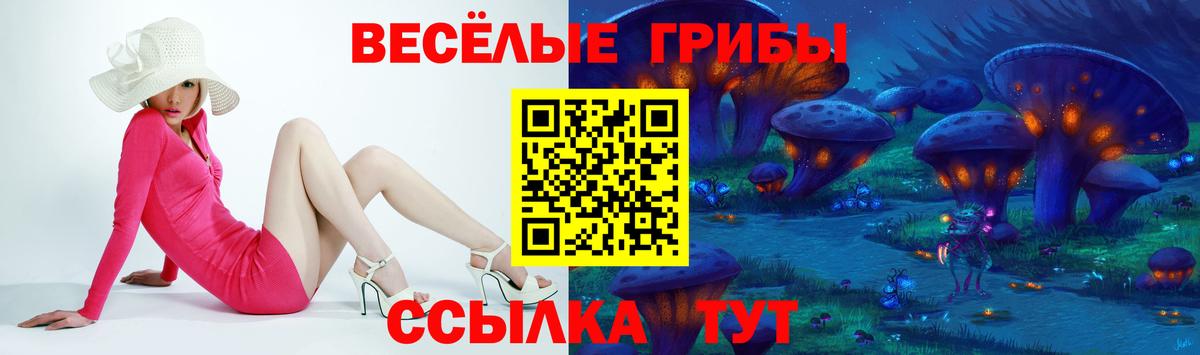 Псилоцибиновые грибы Psilocybine cubensis Нижнекамск